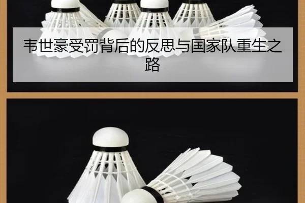 韦世豪受罚背后的反思与国家队重生之路